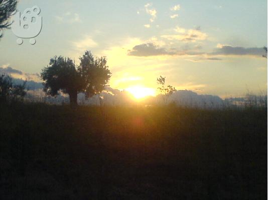 ΟΙΚΟΠΕΔΟ ΜΕ ΕΚΘΑΜΒΩΤΙΚΗ ΘΕΑ ΣΥΝΔΥΑΣΜΟΥ ΒΟΥΝΟΥ ΚΑΙ ΘΑΛΑΣΣΑΣ ΣΤΗ Β. ΕΥΒΟΙΑ...