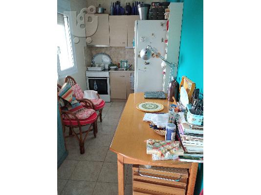 Αγρόκτημα 4400τμ με σπίτι 80τμ