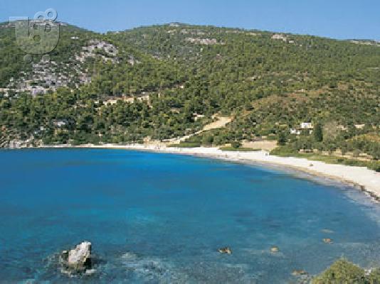 ΠΩΛΕΙΤΑΙ ΟΙΚΟΠΕΔΟ ΣΤΗΝ ΣΚΥΡΟ