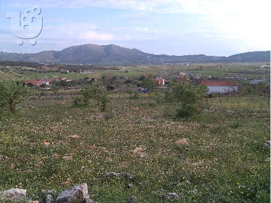 Πωλείται οικόπεδο