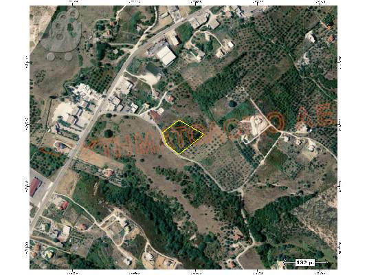 PoulaTo: Μαυρούδι θεσπρωτίας 4 στρέμματα