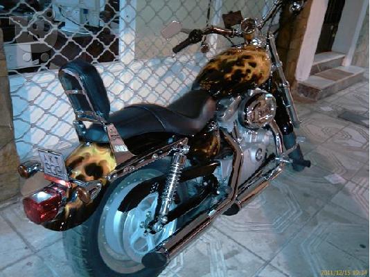 HARLEY DAVIDSON XL 883 C Sportster; 883 Customer 