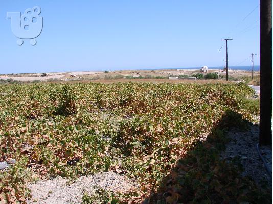 PoulaTo: Πωλήσεις  οικοπέδων από ιδιώτη στη Σαντορίνη
