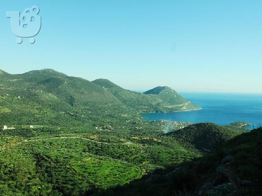 PoulaTo: Πωλείται οικόπεδο εντός σχεδίου  2,500 τ.μ στο παραθαλάσσιο γραφικό Κότρωνα