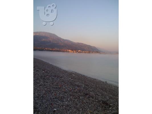 Οικόπεδο 750 τ.μ. στον Ελαιώνα Αιγίου
