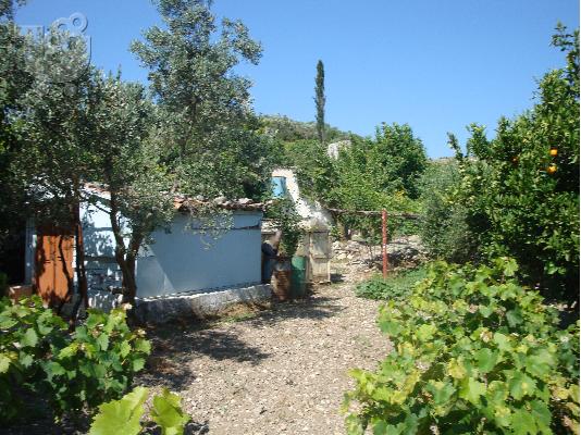 ΟΙΚΟΠΕΔΟ ΣΤΙΣ ΠΟΤΑΜΙΕΣ ΜΥΤΙΛΗΝΙΩΝ ΣΑΜΟΥ