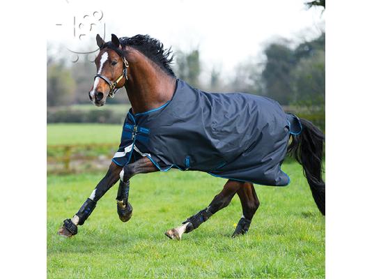 PoulaTo: 10 chronón Kfps Reg Friesian Mare