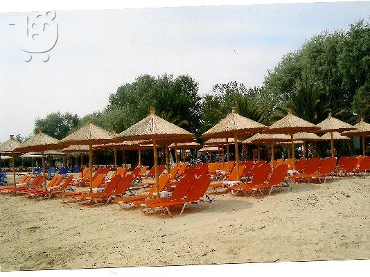 ΕΥΚΑΙΡΙΑ!!! ΠΩΛΕΙΤΑΙ ΦΑΓΑΔΙΚΟ ΚΑΙ BEACH-BAR ΣΤΗ ΧΑΛΚΙΔΙΚΗ...