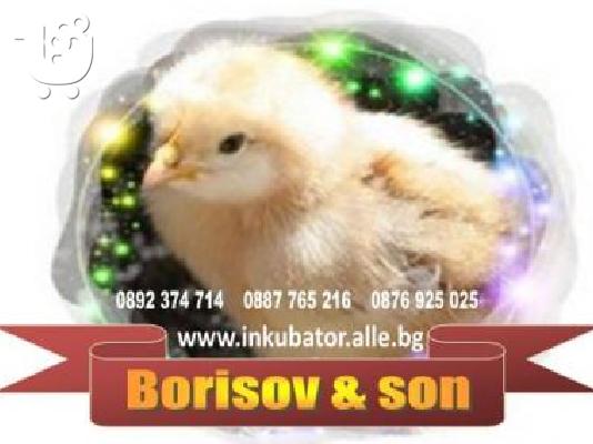 PoulaTo: Инкубатори - време е за люпене!!!