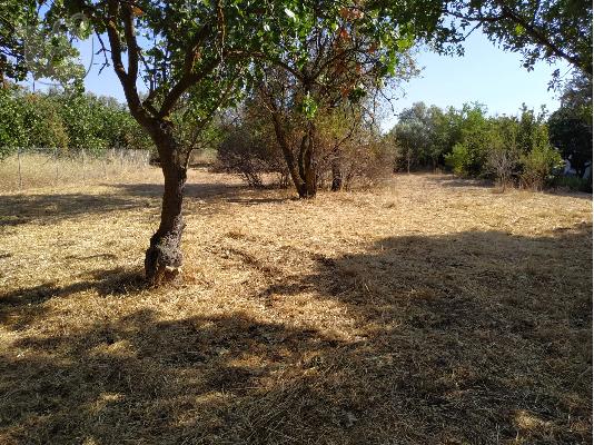Οικόπεδο 530τμ στην Νέα Κηφισια Ευκαιρία