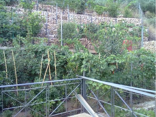 ΔΥΟ ΠΕΤΡΙΝΕΣ ΜΕΖΟΝΕΤΕΣ ΠΡΟΣ ΠΩΛΗΣΗ