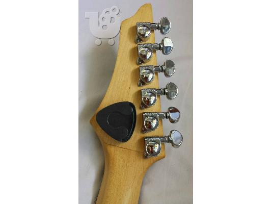 Washburn WR150 + softcase