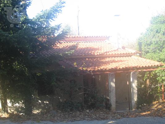 ΕΞΟΧΙΚΗ ΚΑΤΟΙΚΙΑ