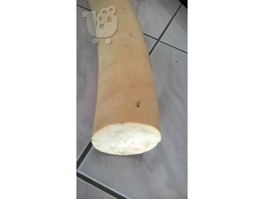Ελεφαντοδοντο