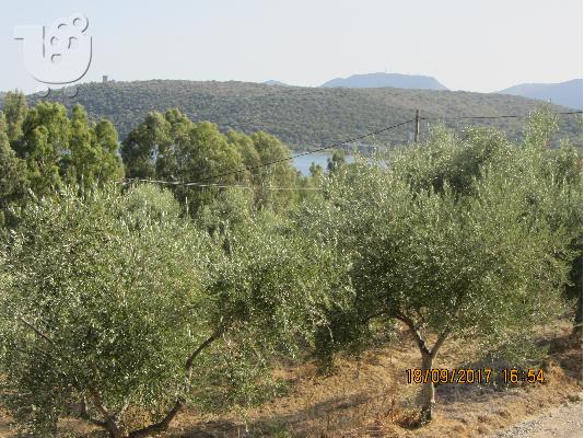 πωληται παραθαλασιο οικοπεδο στο βαθυ γυθειου λακωνιας...