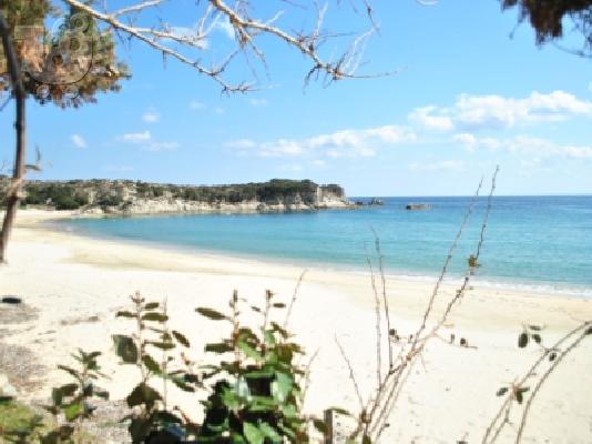 Καλαμίτσι Σιθωνίας
