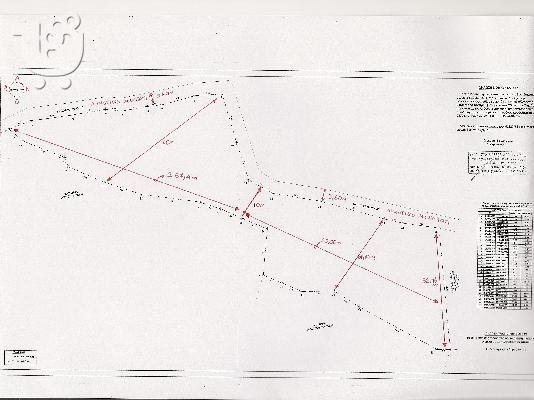 ΟΙΚΟΠΕΔΟ, ΓΑΡΝΕΛΑΤΙΚΑ