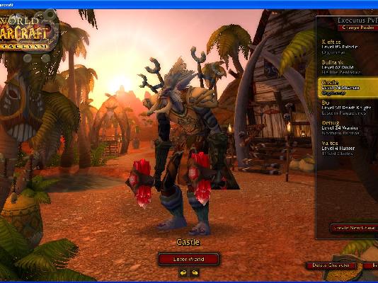 WoW Account ,85 level Holy Paladin  +++++