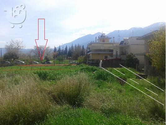 Οικόπεδο 500τ.μ ΛΑΜΙΑ Σταυρός