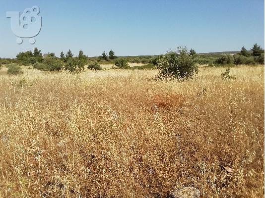 ΠΩΛΕΙΤΑΙ ΑΓΡΟΤΕΜΑΧΙΟ 3 ΣΤΡΕΜΑΤΑ
