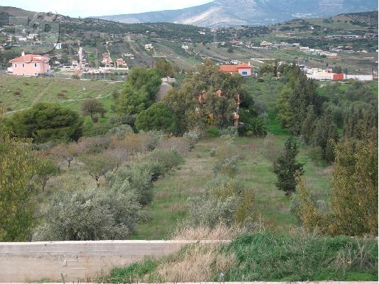 PoulaTo: ΜΟΝΑΔΙΚΗ ΕΚΤΑΣΗ <ΚΤΗΜΑ>!!! KFEL6357AAA!