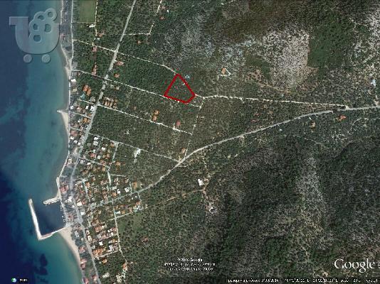 ΠΩΛΗΣΗ ΟΙΚΟΠΕΔΟΥ ΣΤΗ ΘΑΣΟ ΠΕΡΙΟΧΗ ΣΚΑΛΑ ΣΩΤΗΡΟΣ