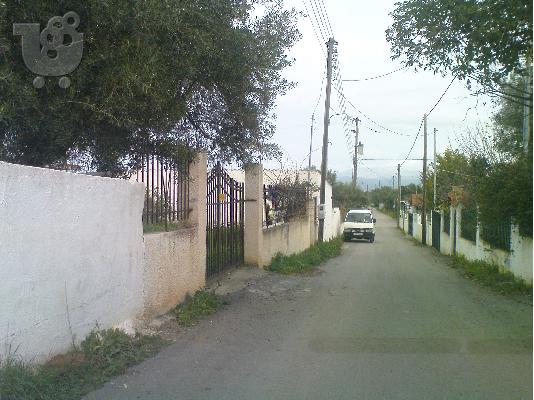 οικοπεδο με κτισμα,βοθρο ,ηλεκτρικο, νερο, μαντρα εκτος σχεδιου...