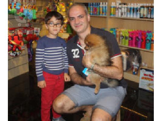 PoulaTo: Τα εγγεγραμμένα κουτάβια για την επανένταξη