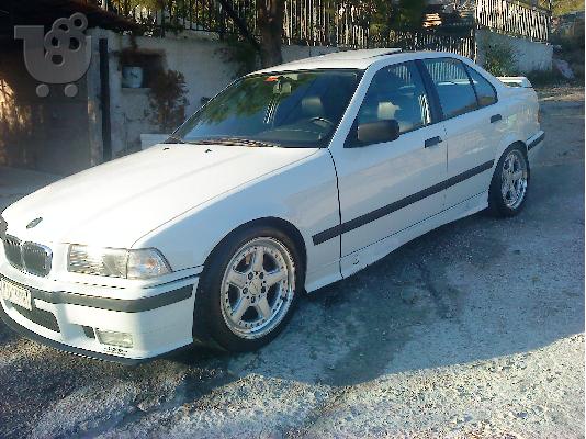 PoulaTo: schnitzer 17'