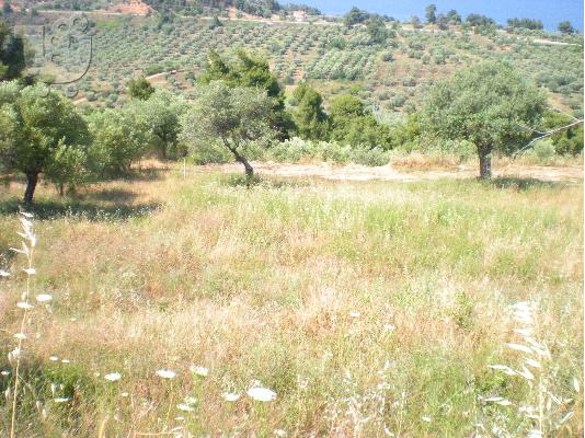 ΑΓΡΟΤΕΜΑΧΙΟ 2 ΣΤΡΕΜ, ΜΕ ΘΕΑ ΣΤΗ ΘΑΛΑΣΣΑ, ΑΓΙΟΣ ΝΙΚΟΛΑΟΣ...