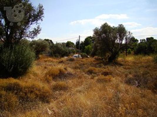 PoulaTo: Γωνιακό οικόπεδο σε όμορφη περιοχή κοντά στην Αθήνα