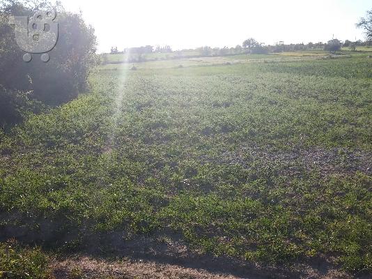 Πωλείται Αγροτεμάχιο 15 λεπτα απο τον Ποταμο Επανωμης...