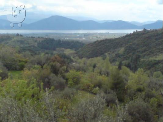 ΟΙΚΟΠΕΔΟ ΜΕ ΕΚΘΑΜΒΩΤΙΚΗ ΘΕΑ ΣΥΝΔΥΑΣΜΟΥ ΒΟΥΝΟΥ ΚΑΙ ΘΑΛΑΣΣΑΣ ΣΤΗ Β. ΕΥΒΟΙΑ...