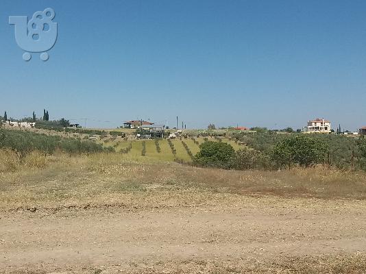 Πώληση οικοπέδου στον Κάτω Άγιο Ιωάννη του νομού Πιερίας...