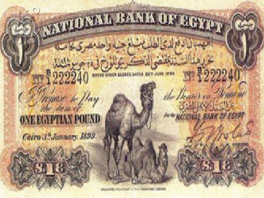 Xαρτονομίσματα Αιγύπτου.