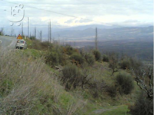 PoulaTo: Οικόπεδο 2389τμ- Λεοντάριο Αρκαδίας