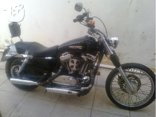PoulaTo: HARLEY DAVIDSON XL1200C, Sportster1200Custom '10