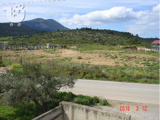 PoulaTo: ΠΩΛΕΙΤΑΙ ΟΙΚΟΠΕΔΟ 14 ΣΤΡΕΜΜΑΤΩΝ ΣΤΗ ΡΙΤΣΩΝΑ ΧΑΛΚΙΔΑΣ ΤΗΛ 6977635500