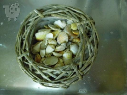 PoulaTo: Φωλίτσα με κοχύλια από τη Ρόδο!