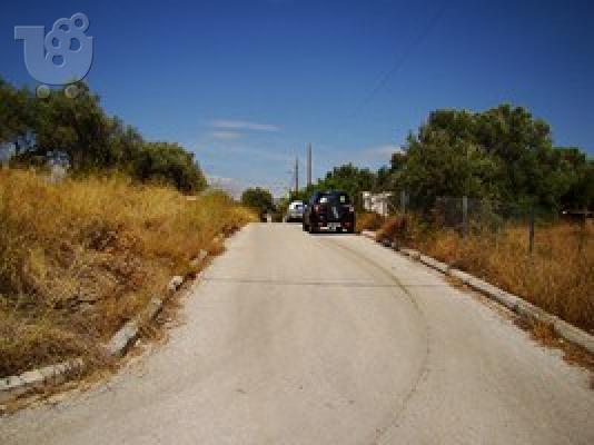 Γωνιακό οικόπεδο σε όμορφη περιοχή κοντά στην Αθήνα...