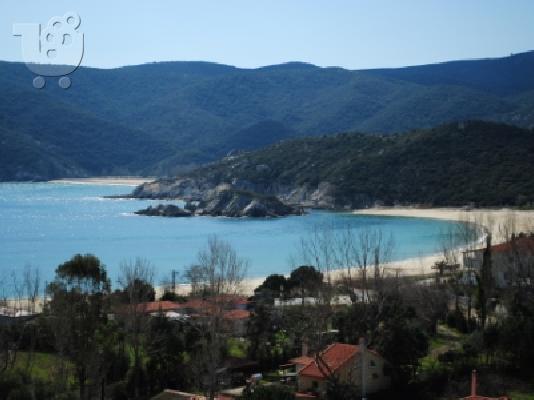 Καλαμίτσι Σιθωνίας