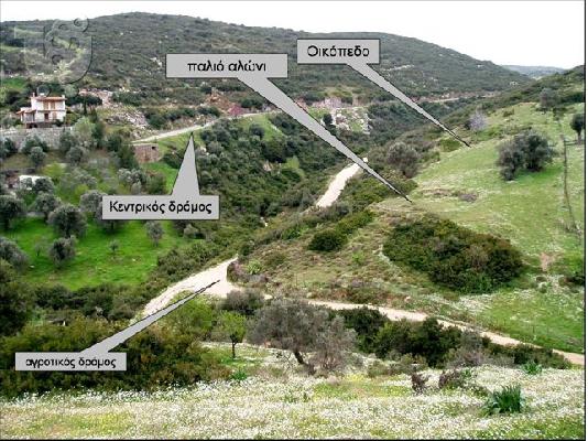 PoulaTo: 4.750ΤΜ ΕΝΤΟΣ ΟΙΚΙΣΜΟΥ ΠΕΤΡΙΕΣ ΕΥΒΟΙΑΣ -ΜΕΓΑΛΗ ΕΥΚΑΙΡΙΑ