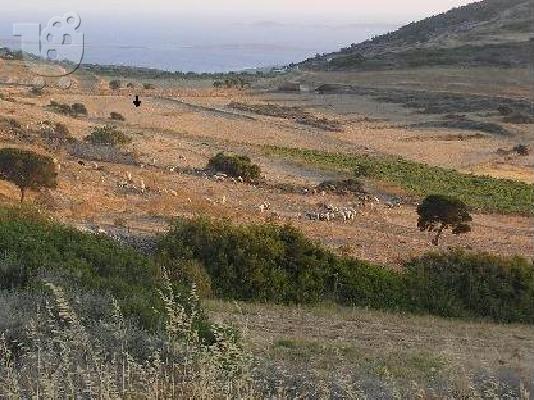 PoulaTo: ΠΑΡΟΣ - ΑΓΡΟΤΕΜΑΧΙΟ 15 ΣΤΡΜ