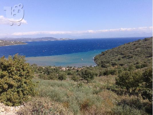 PoulaTo: ΠΩΛΕΙΤΕ ΟΙΚΟΠΕΔΟ 23,000 τ.μ.