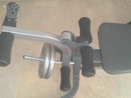 pegasus smith machine