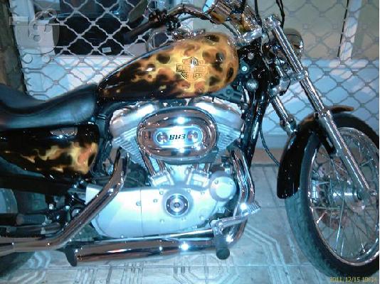HARLEY DAVIDSON XL 883 C Sportster; 883 Customer 