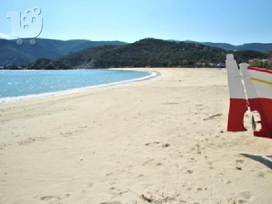 Καλαμίτσι Σιθωνίας