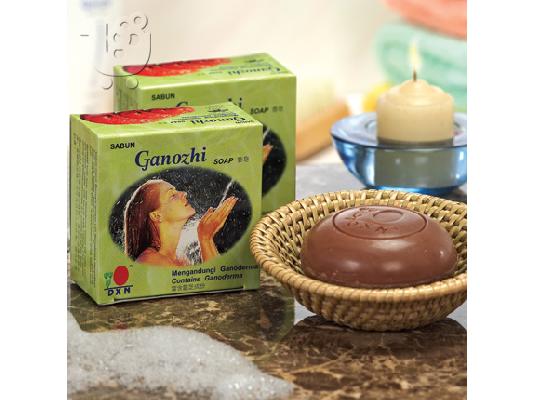 ΚΡΕΜΕΣ ΗΜΕΡΑΣ & ΝΥΚΤΑΣ ΜΕ ΕΚΧΥΛΙΣΜΑ GANODERMA LUCIDUM