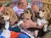 PoulaTo: beagle puppies
