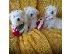 PoulaTo: Lovely Maltes Pups Πλήρως δοκιμασμένο για την υγεία